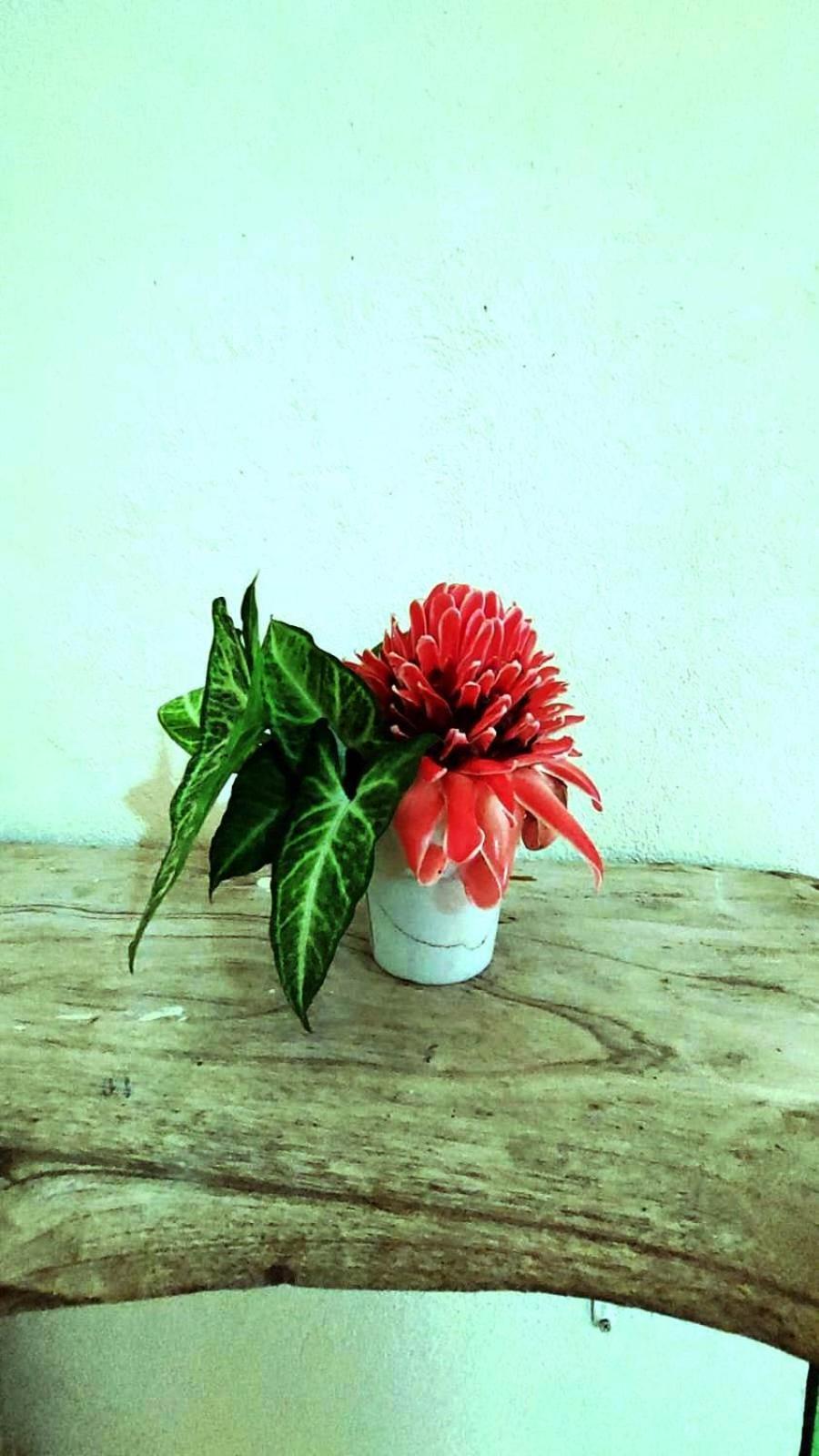 Se Ua Bed & Breakfast Manzanillo  Bagian luar foto