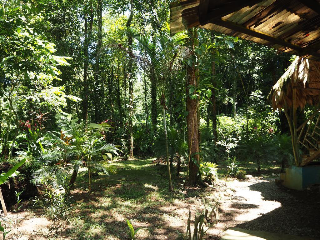 Se Ua Bed & Breakfast Manzanillo  Bagian luar foto